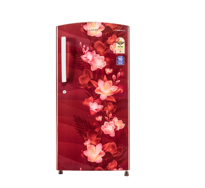 Direct Cool Refrigerator 255 L (GLDC272SGWT2PB)